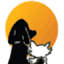 dogotel.com.au