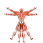 dr-muscle.com
