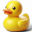 duck-fever.de
