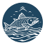 fishingforfish.com
