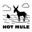 hotmulerecords.com