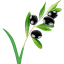 icreatecafe.com