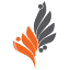 iran-rang.ir