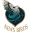 newsbirds.net