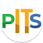 preferreditsolutions.com