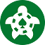 turtlebet.com