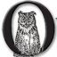 waterburyobserver.org