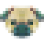 webdog.be