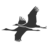 addashop.com