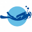 bajadiving.com