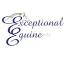 exceptionalequine.ca
