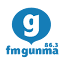 fmgunma.com