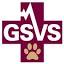 gsvs.org