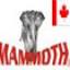 mammothoutlet.ca