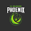 semphoenix.com.au