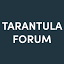 tarantulaforum.com