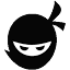 wpninjadevs.com