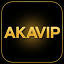 akavip.net