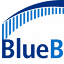 bluebridgenetworks.com