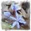 botanica.gallery