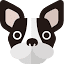 bulldogboard.eu