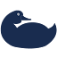 dooney.com