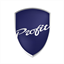 fpg-profit.ru