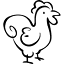 pollastresecologicslatorrederbull.com