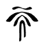 studiotia.co