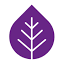 survivorsnetwork.org.uk