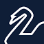 swan.de