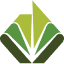 canegrowers.com.au