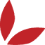 cheflolaskitchen.com