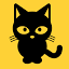 coincat.in
