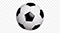 duuball.com