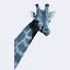 giraffeforum.com