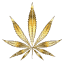 greensourcegenetics.com