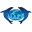 imata.org