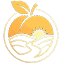 kayisidiyari.com
