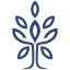 renosparkschiro.com