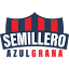semilleroazulgrana.com.ar