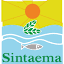 sintaemasp.org.br