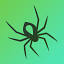 thespider.com