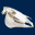 tierschaedel-online.de