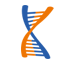 xcelom.com