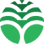 ampost.com.br