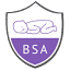 babysleepacademy.com