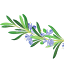 bucate-aromate.ro