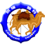 caravantraveluz.com