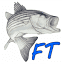 fishingtackles.ca
